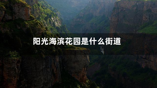阳光海滨花园是什么街道