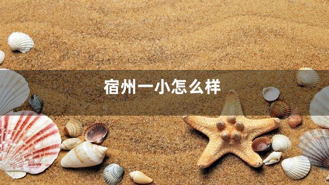 宿州一小怎么样