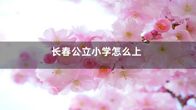 长春公立小学怎么上