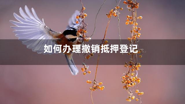 如何办理撤销抵押登记