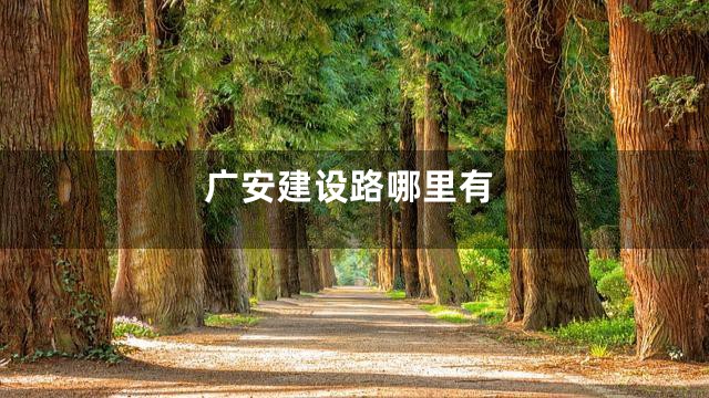 广安建设路哪里有