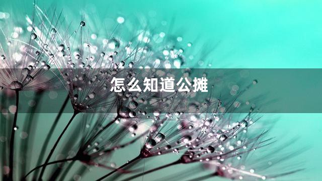 怎么知道公摊