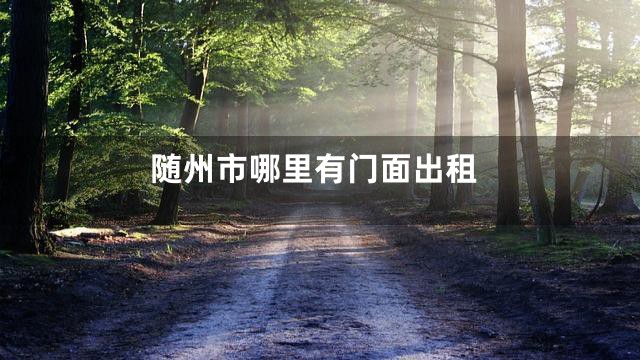 随州市哪里有门面出租