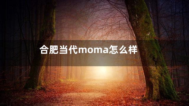 合肥当代moma怎么样