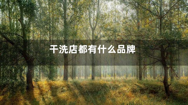 干洗店都有什么品牌