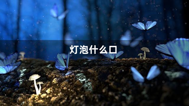 灯泡什么口