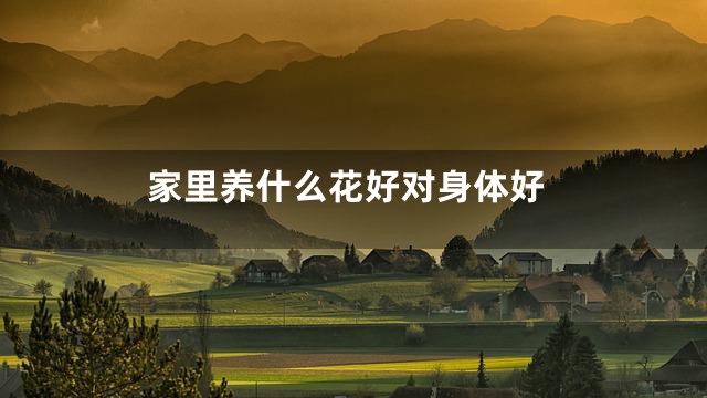 家里养什么花好对身体好