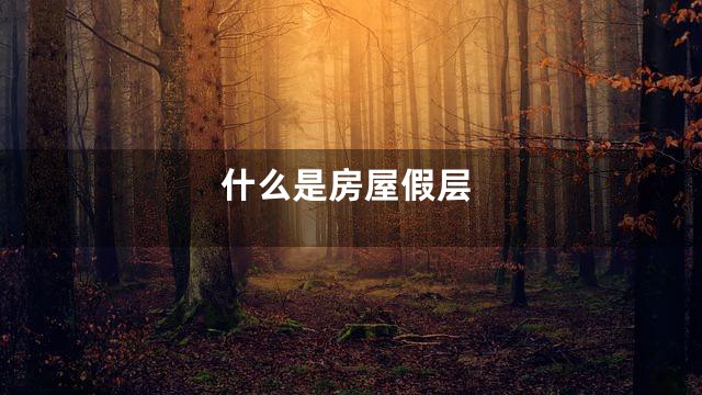什么是房屋假层