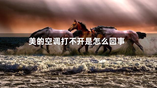 美的空调打不开是怎么回事