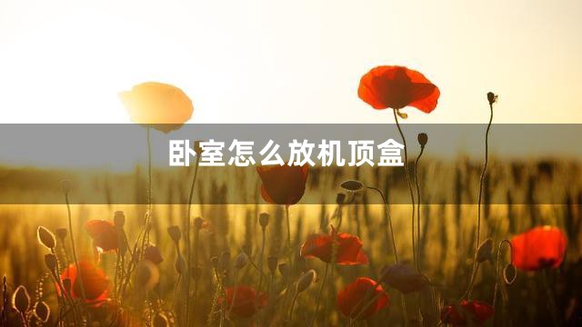 卧室怎么放机顶盒