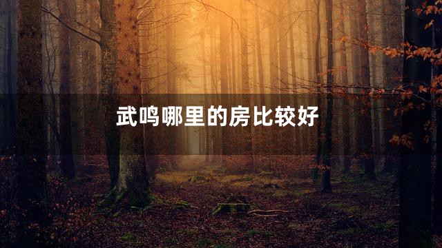 武鸣哪里的房比较好