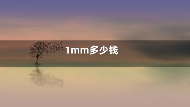 1mm多少钱