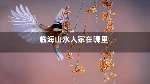临海山水人家在哪里