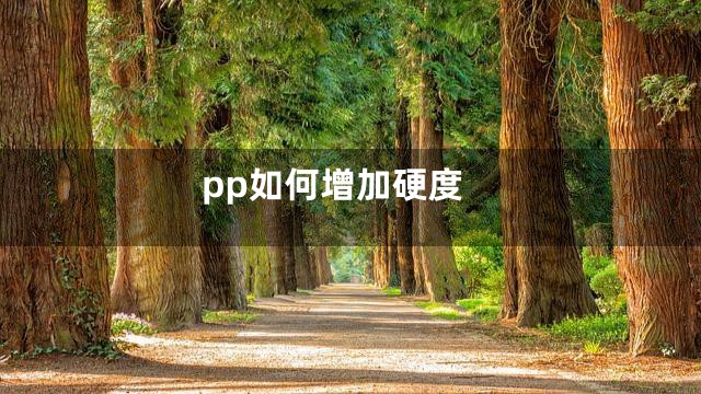 pp如何增加硬度