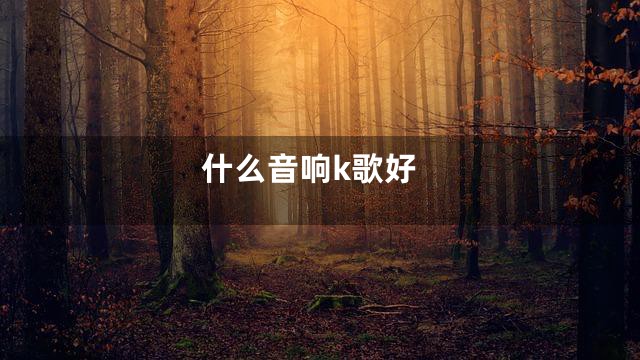 什么音响k歌好