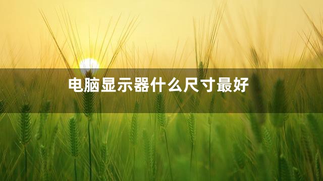 电脑显示器什么尺寸最好