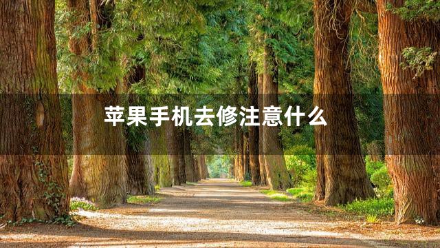 苹果手机去修注意什么