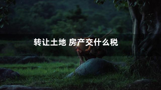 转让土地 房产交什么税