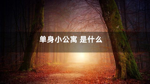 单身小公寓 是什么