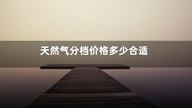 天然气分档价格多少合适