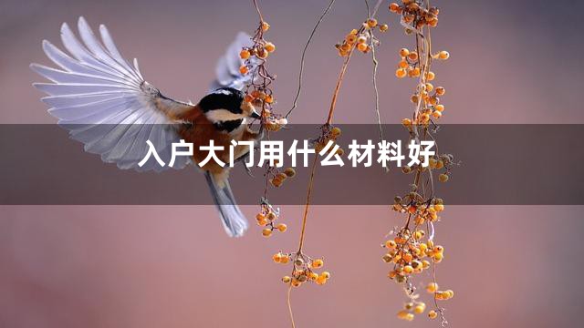 入户大门用什么材料好