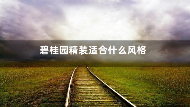 碧桂园精装适合什么风格