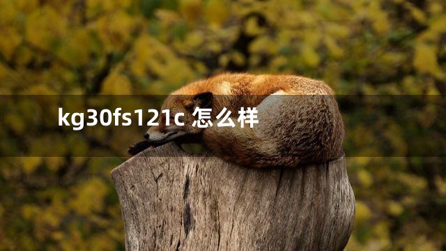 kg30fs121c 怎么样