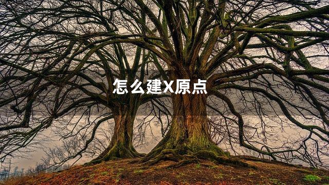 怎么建X原点