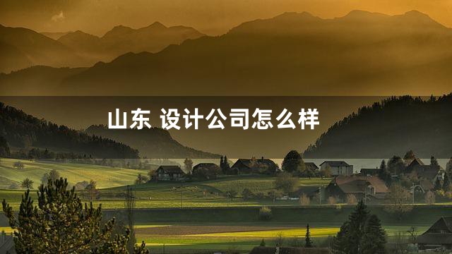 山东 设计公司怎么样