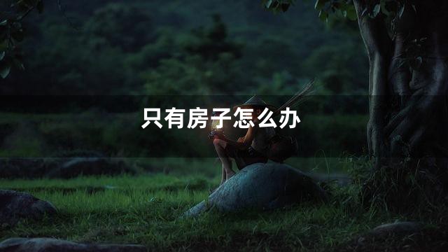 只有房子怎么办
