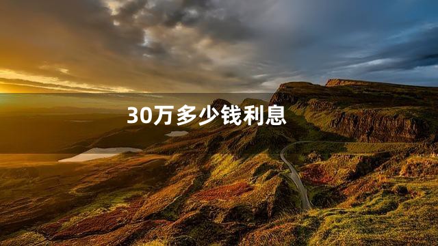 30万多少钱利息