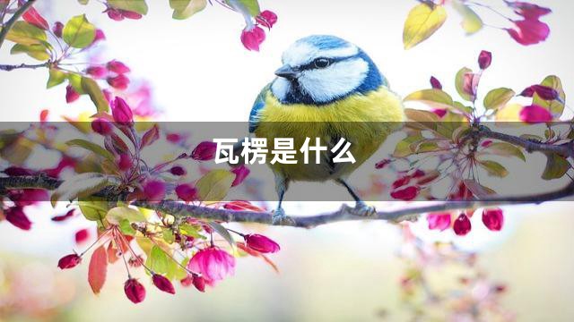 瓦楞是什么