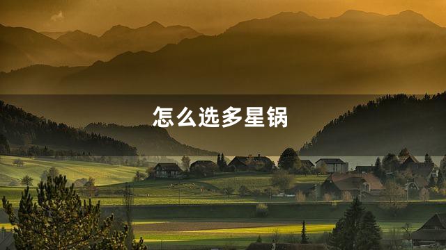 怎么选多星锅