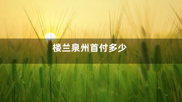 楼兰泉州首付多少