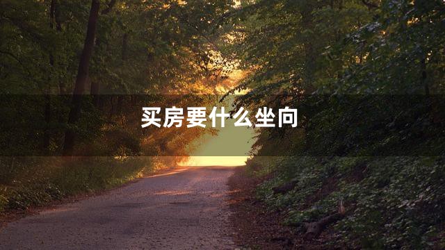 买房要什么坐向