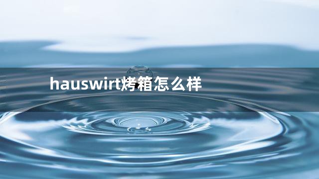 hauswirt烤箱怎么样