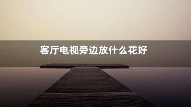 客厅电视旁边放什么花好