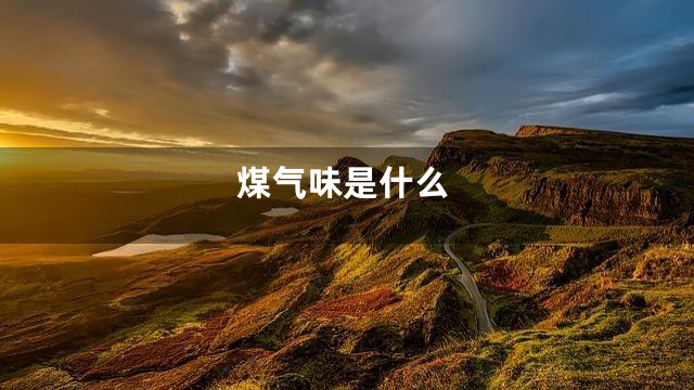 煤气味是什么