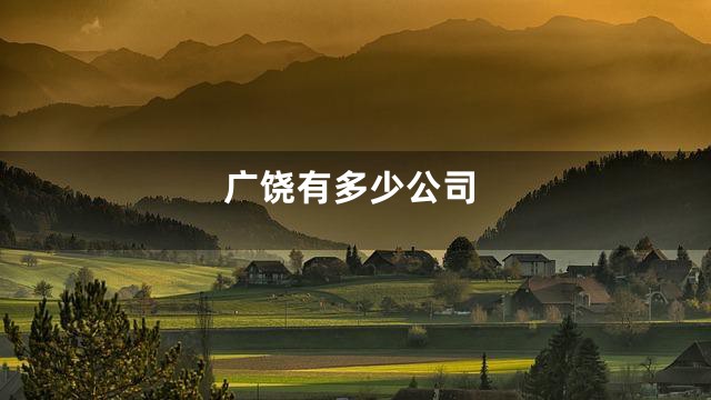 广饶有多少公司