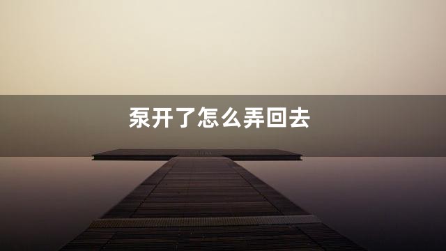 泵开了怎么弄回去