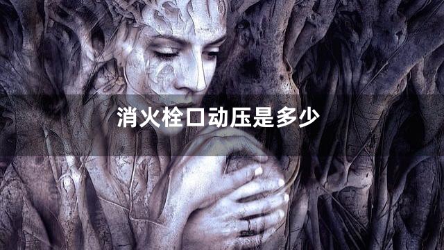 消火栓口动压是多少