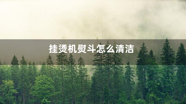 挂烫机熨斗怎么清洁
