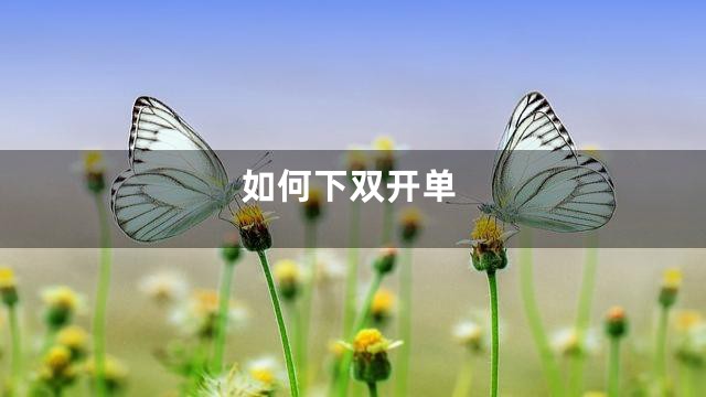 如何下双开单
