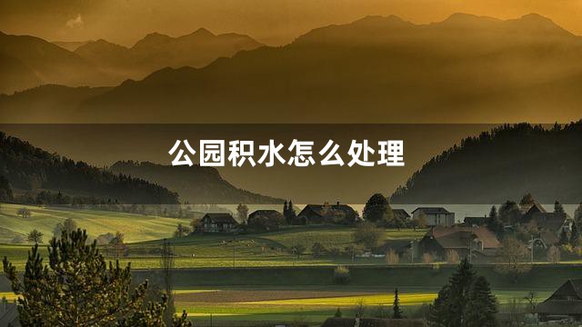 公园积水怎么处理