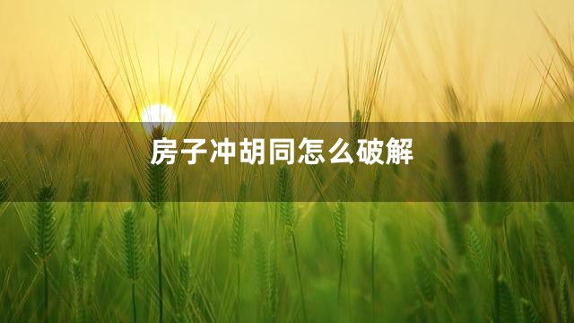 房子冲胡同怎么破解