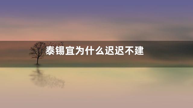 泰锡宜为什么迟迟不建