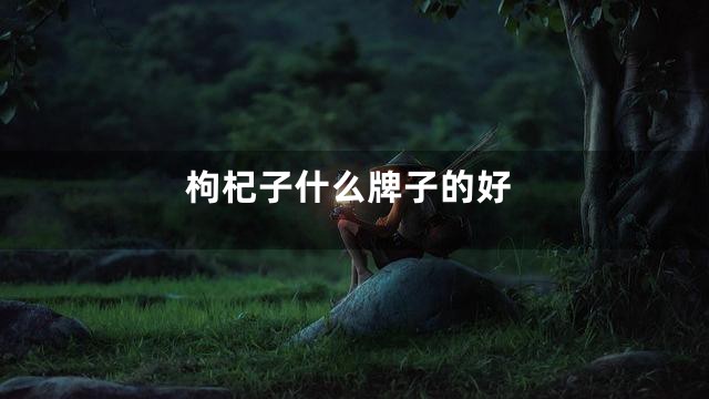 枸杞子什么牌子的好