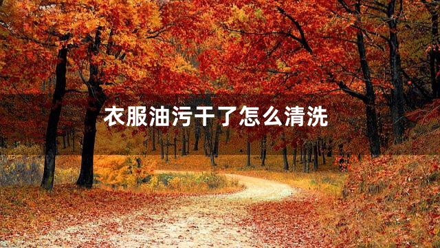 衣服油污干了怎么清洗