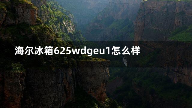 海尔冰箱625wdgeu1怎么样