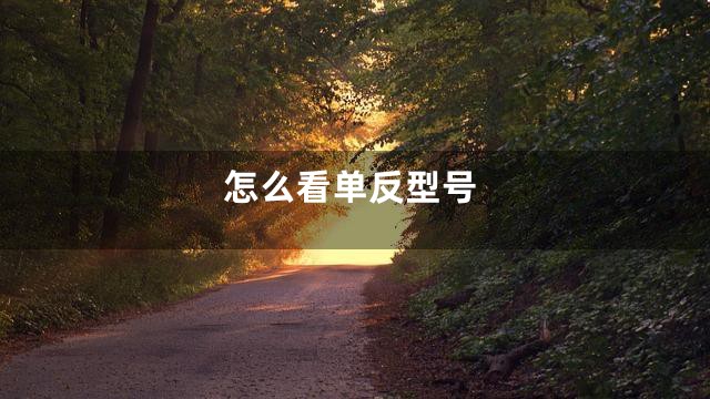 怎么看单反型号